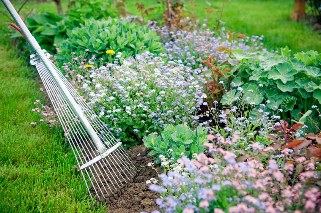 Planting and Garden Bed Maintenance